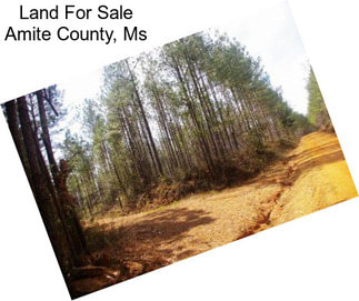 Land For Sale Amite County, Ms