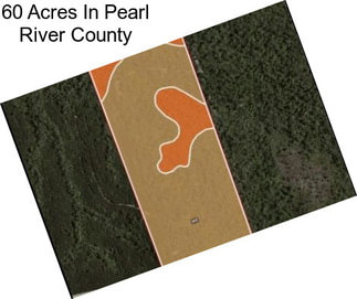 60 Acres In Pearl River County