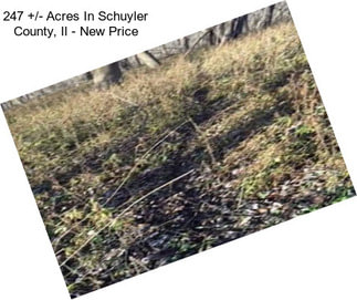 247 +/- Acres In Schuyler County, Il - New Price