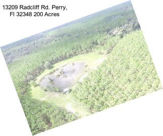 13209 Radcliff Rd. Perry, Fl 32348 200 Acres