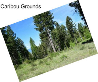 Caribou Grounds