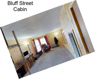 Bluff Street Cabin