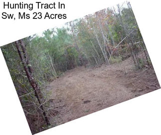 Hunting Tract In Sw, Ms 23 Acres