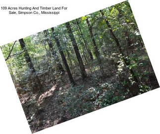 109 Acres Hunting And Timber Land For Sale, Simpson Co., Mississippi
