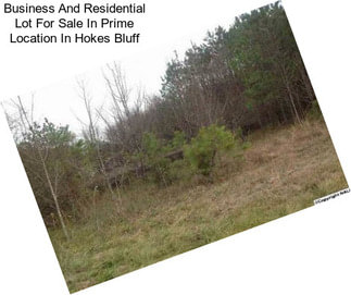 Business And Residential Lot For Sale In Prime Location In Hokes Bluff