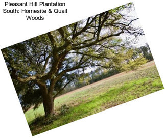 Pleasant Hill Plantation South: Homesite & Quail Woods