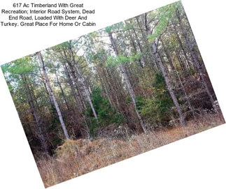 617 Ac Timberland With Great Recreation; Interior Road System, Dead End Road, Loaded With Deer And Turkey. Great Place For Home Or Cabin