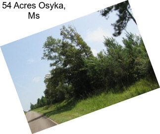 54 Acres Osyka, Ms