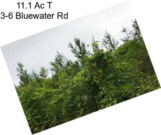 11.1 Ac T 3-6 Bluewater Rd