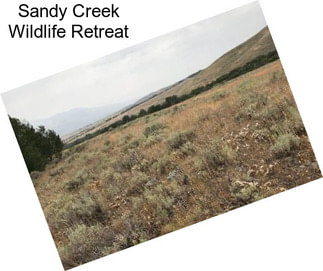 Sandy Creek Wildlife Retreat