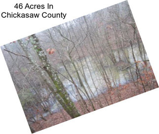 46 Acres In Chickasaw County