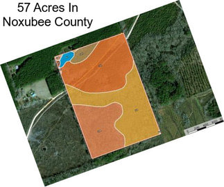 57 Acres In Noxubee County