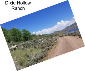 Dixie Hollow Ranch