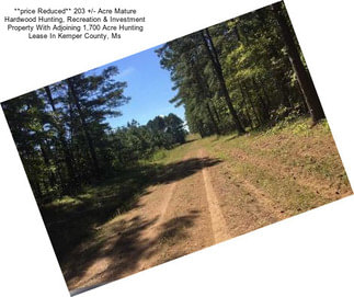 **price Reduced** 203 +/- Acre Mature Hardwood Hunting, Recreation & Investment Property With Adjoining 1,700 Acre Hunting Lease In Kemper County, Ms