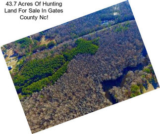 43.7 Acres Of Hunting Land For Sale In Gates County Nc!