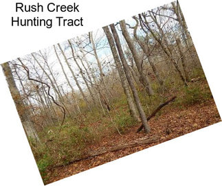 Rush Creek Hunting Tract