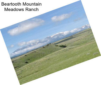 Beartooth Mountain Meadows Ranch