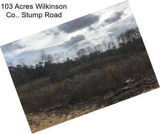 103 Acres Wilkinson Co.. Stump Road