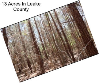 13 Acres In Leake County