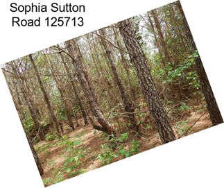Sophia Sutton Road 125713
