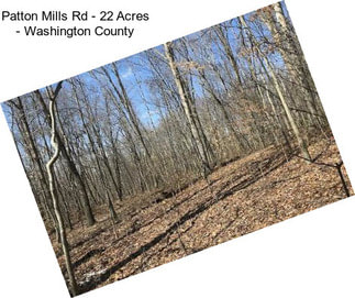 Patton Mills Rd - 22 Acres - Washington County