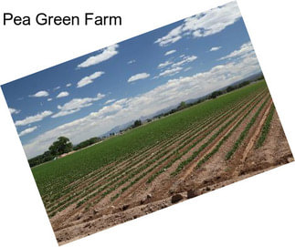 Pea Green Farm