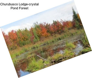 Churubusco Lodge-crystal Pond Forest