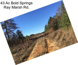 43 Ac Bold Springs Ray Marsh Rd.