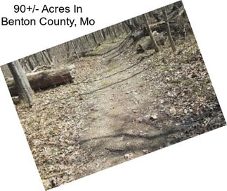 90+/- Acres In Benton County, Mo