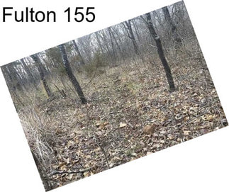 Fulton 155