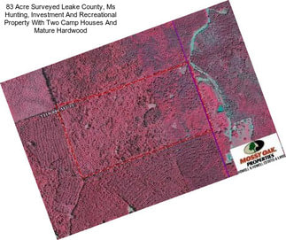 83 Acre Surveyed Leake County, Ms Hunting, Investment And Recreational Property With Two Camp Houses And Mature Hardwood