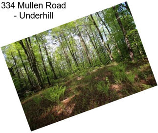 334 Mullen Road - Underhill