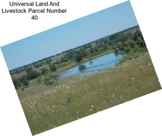 Universal Land And Livestock Parcel Number 40