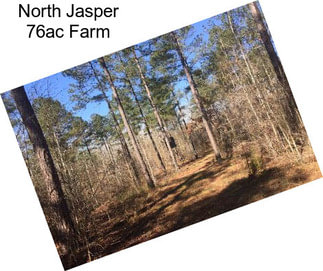 North Jasper 76ac Farm