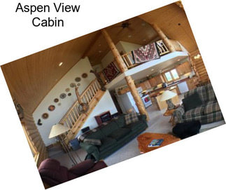 Aspen View Cabin