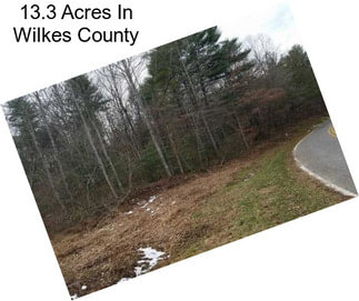 13.3 Acres In Wilkes County