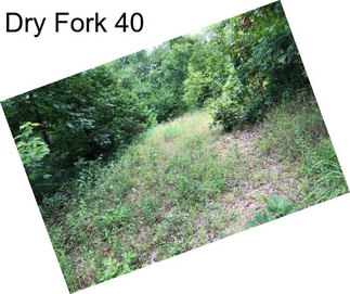 Dry Fork 40