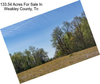 133.54 Acres For Sale In Weakley County, Tn