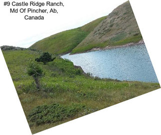 #9 Castle Ridge Ranch, Md Of Pincher, Ab, Canada