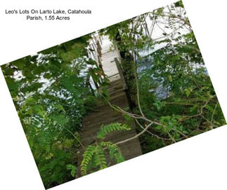 Leo\'s Lots On Larto Lake, Catahoula Parish, 1.55 Acres