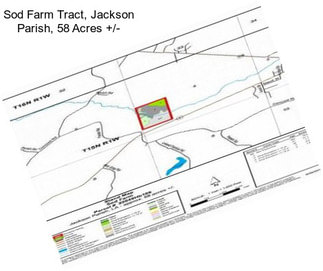 Sod Farm Tract, Jackson Parish, 58 Acres +/-