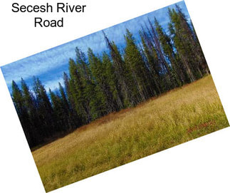 Secesh River Road