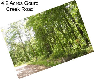 4.2 Acres Gourd Creek Road