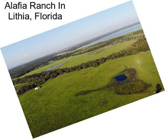 Alafia Ranch In Lithia, Florida