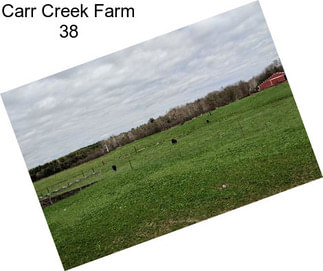 Carr Creek Farm 38