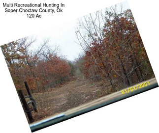 Multi Recreational Hunting In Soper Choctaw County, Ok 120 Ac