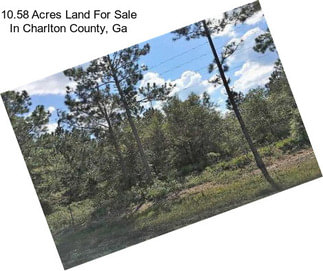 10.58 Acres Land For Sale In Charlton County, Ga