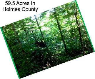 59.5 Acres In Holmes County
