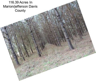 116.39 Acres In Marion/jefferson Davis County