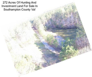 272 Acres Of Hunting And Investment Land For Sale In Southampton County Va!